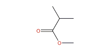 Methyl 2-methylpropionate